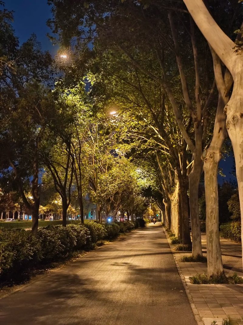 ảnh thành phố về đêm​ 29