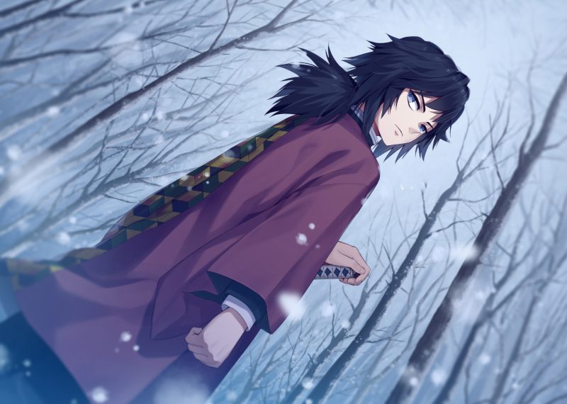 giyuu x tanjiro aesthetic