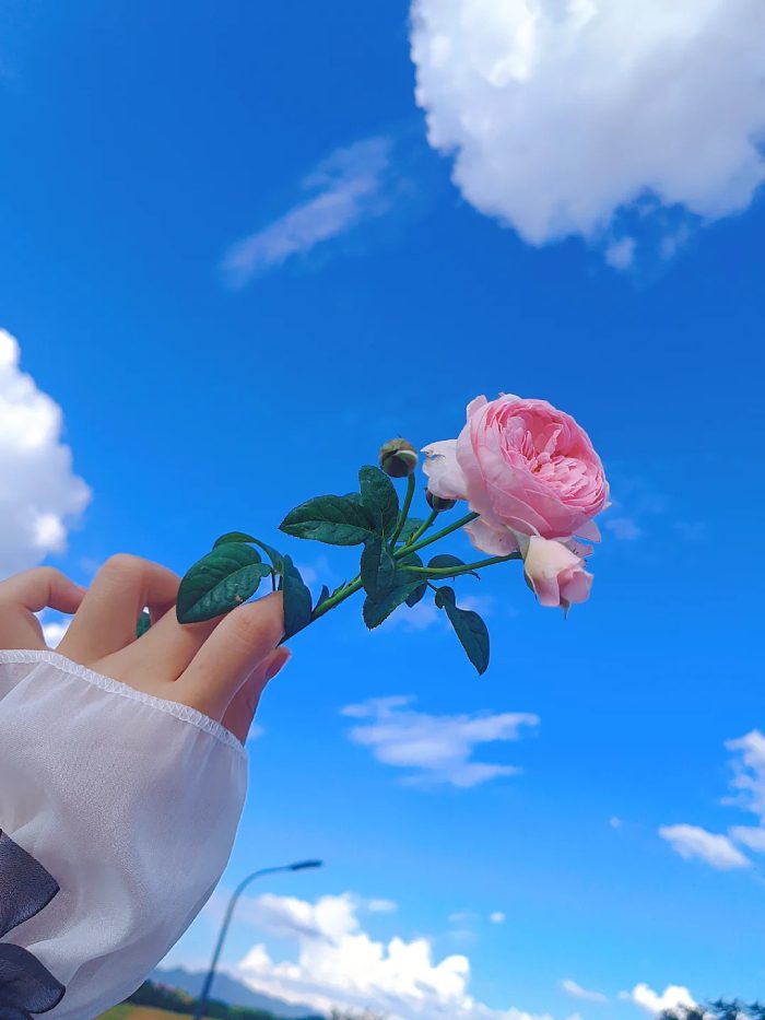 hình ảnh bầu trời bình yên​ 