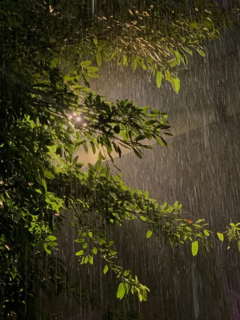 ảnh chill buồn 41