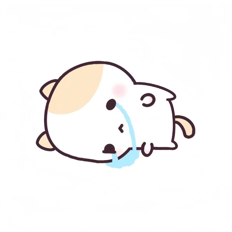 Hình ảnh khóc cute 9