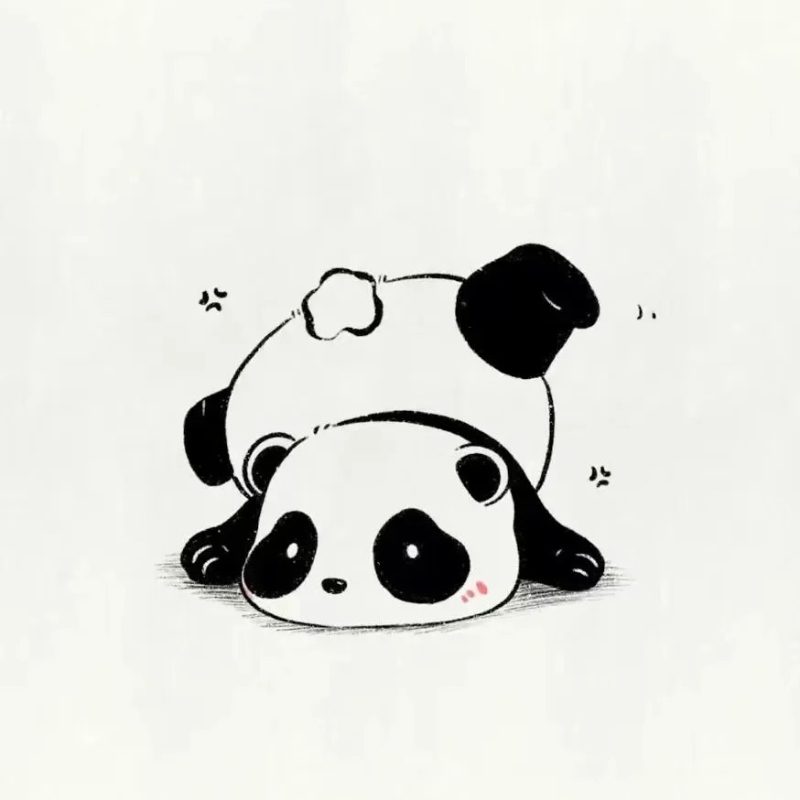 ảnh đại diện hài 12