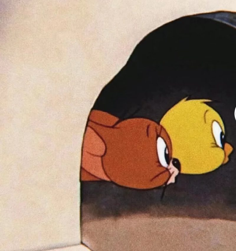 ảnh đại diện hài 2