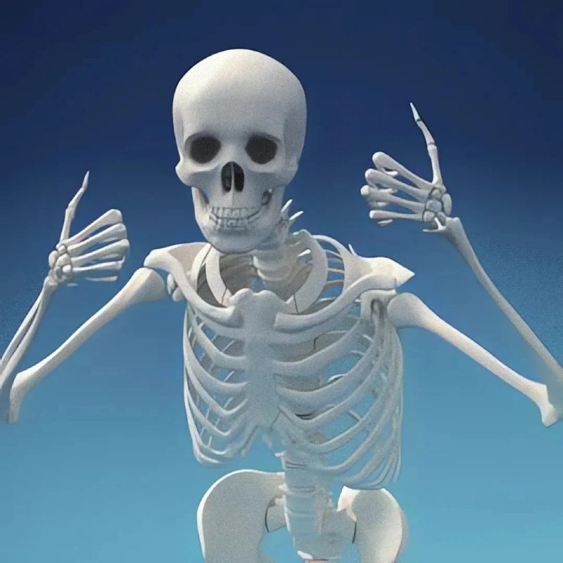 ảnh đại diện hài 22