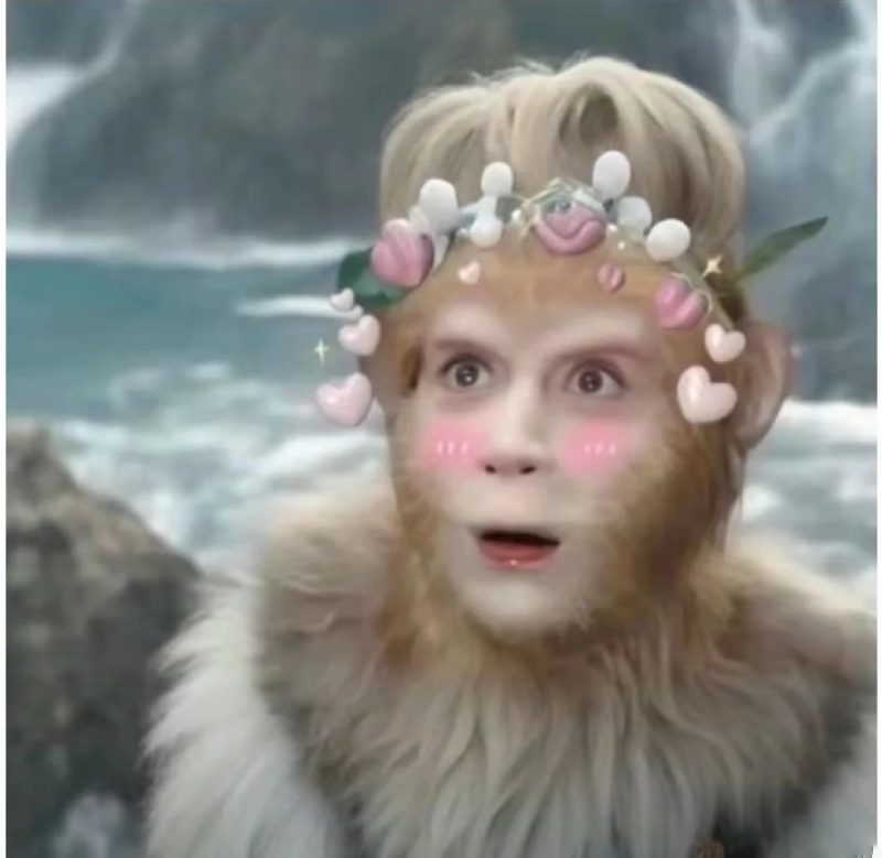 ảnh đại diện hài 24