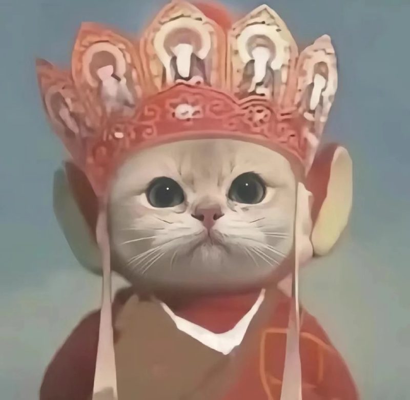 ảnh đại diện hài 27