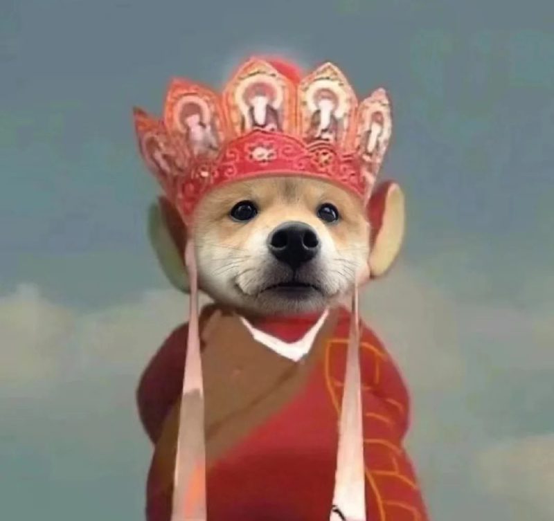 ảnh đại diện hài 28