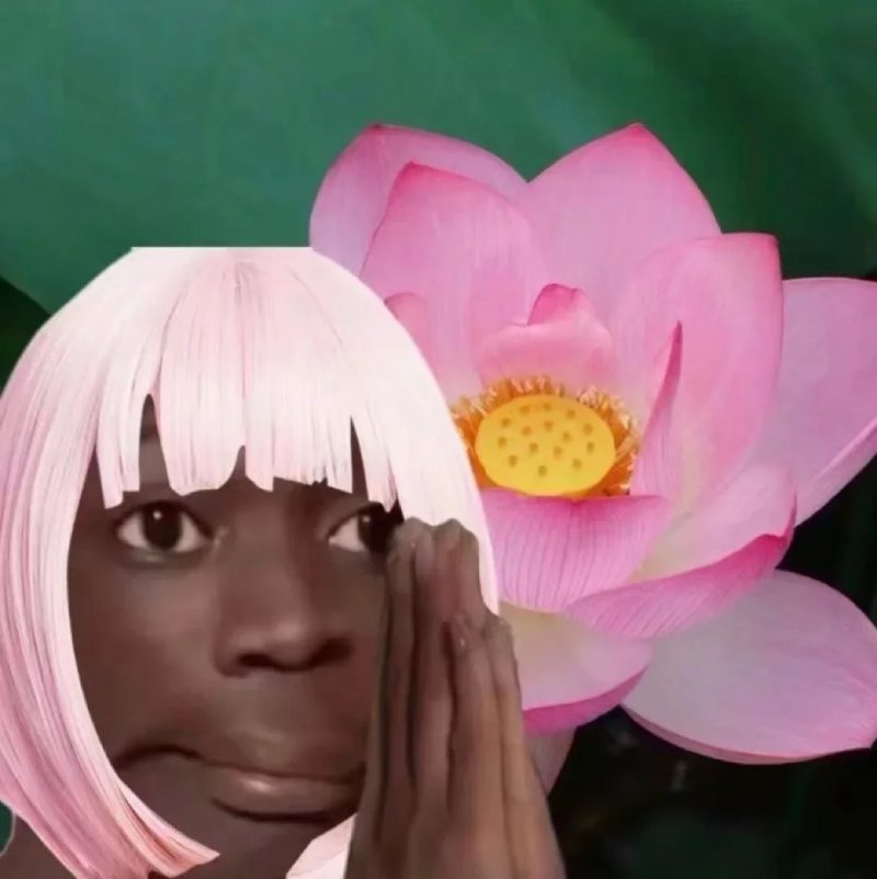 ảnh đại diện hài 32