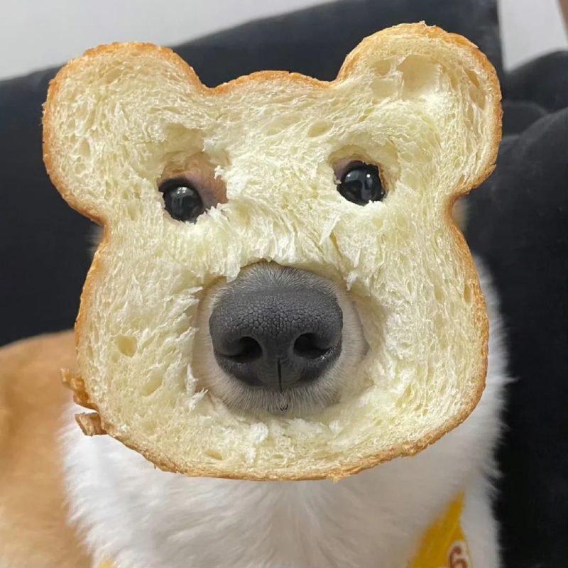 ảnh đại diện hài 5