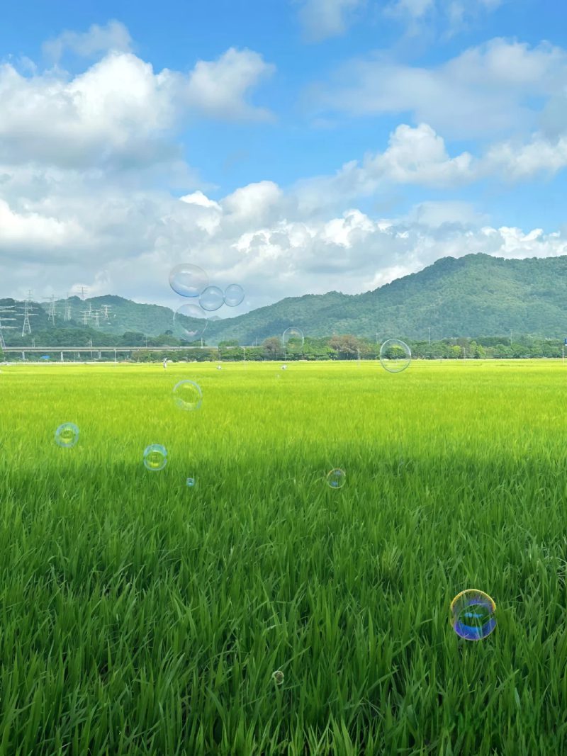 ảnh đẹp thiên nhiên 10