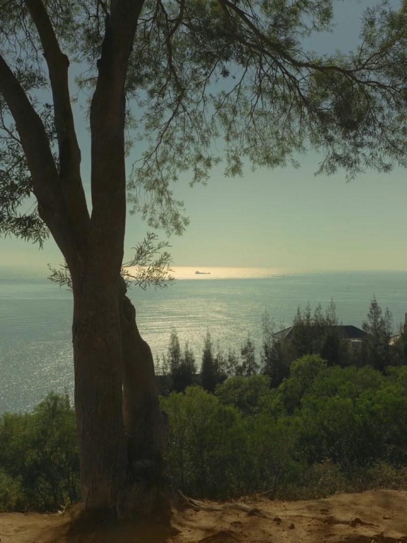 ảnh đẹp thiên nhiên 11