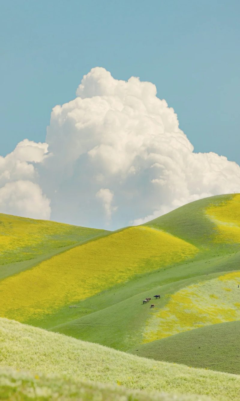 ảnh đẹp thiên nhiên 16