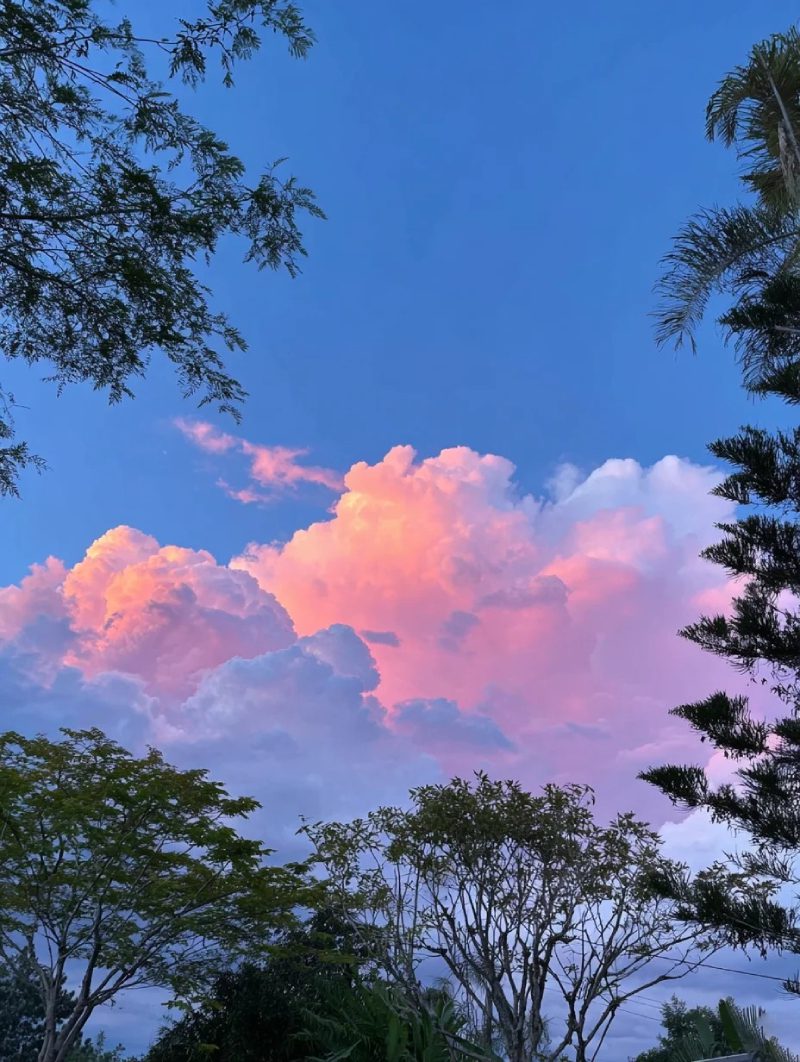 ảnh đẹp thiên nhiên 19