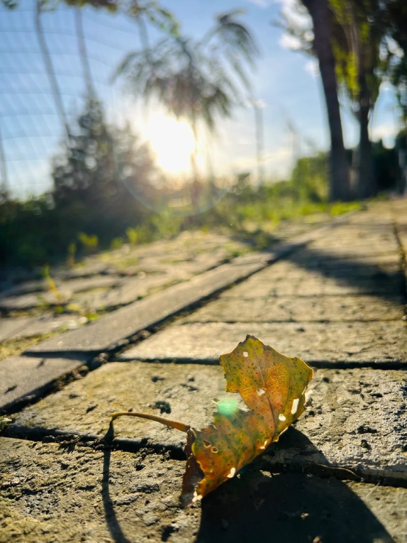 ảnh đẹp thiên nhiên 27