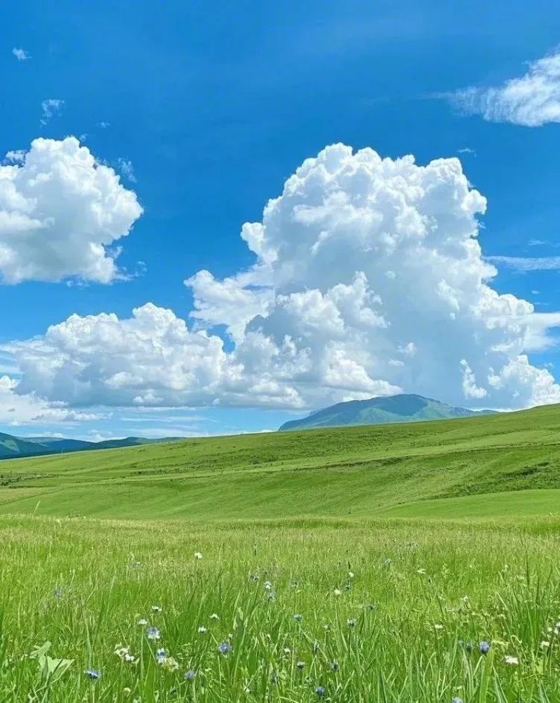 ảnh đẹp thiên nhiên 32