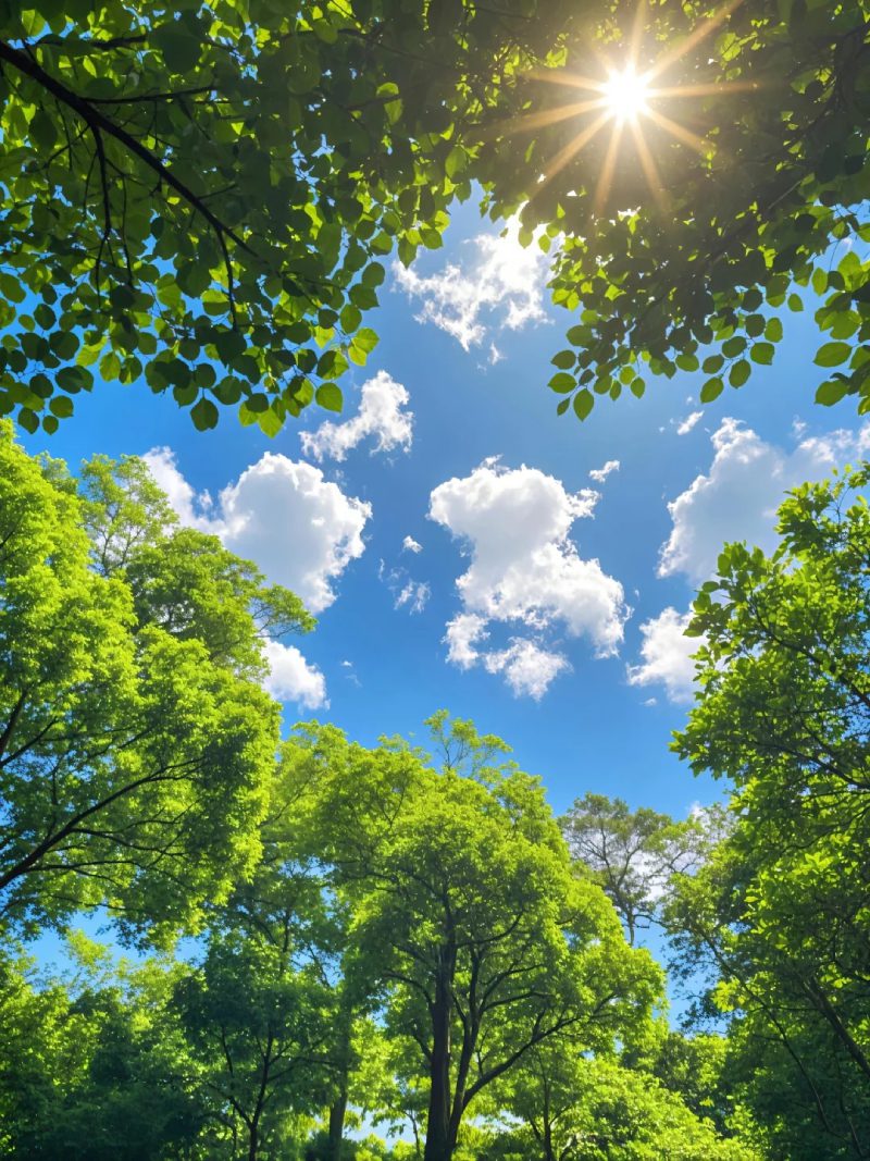 ảnh đẹp thiên nhiên 4