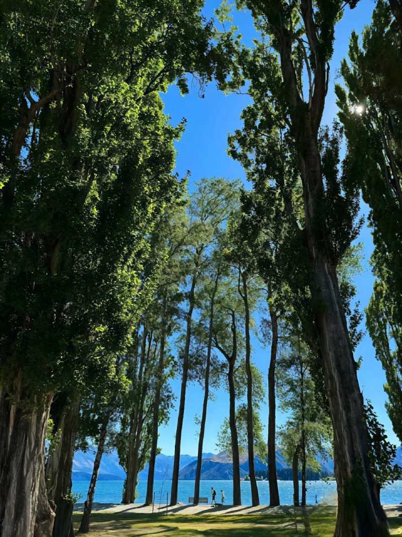 ảnh đẹp thiên nhiên 7