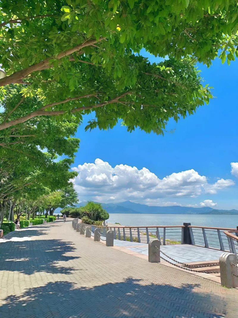 ảnh đẹp thiên nhiên 8