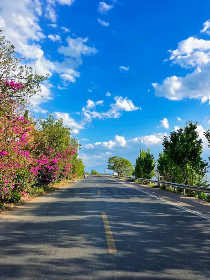 ảnh đẹp thiên nhiên