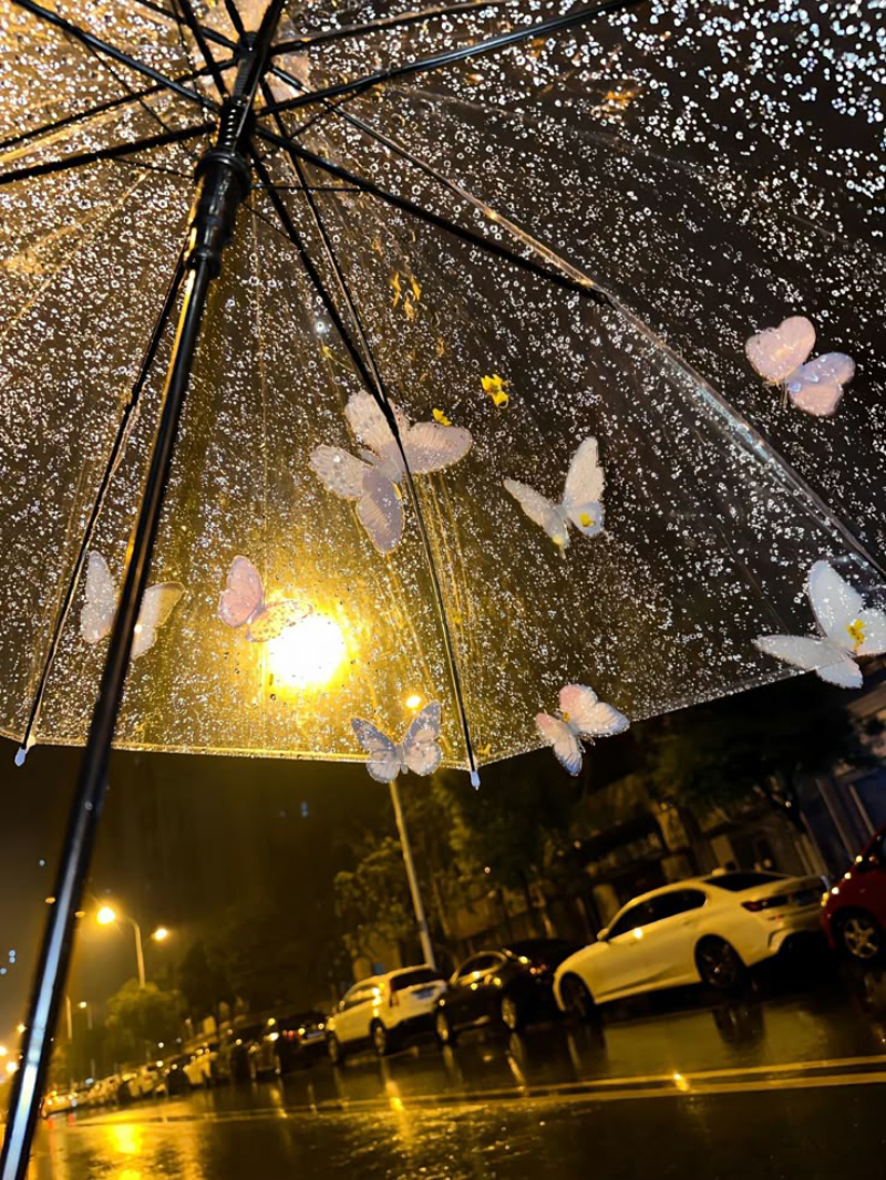 ảnh mưa buồn 12