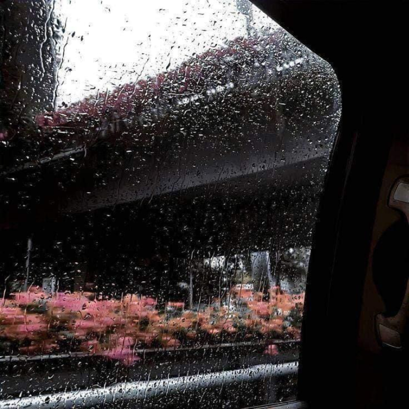 ảnh mưa buồn 14