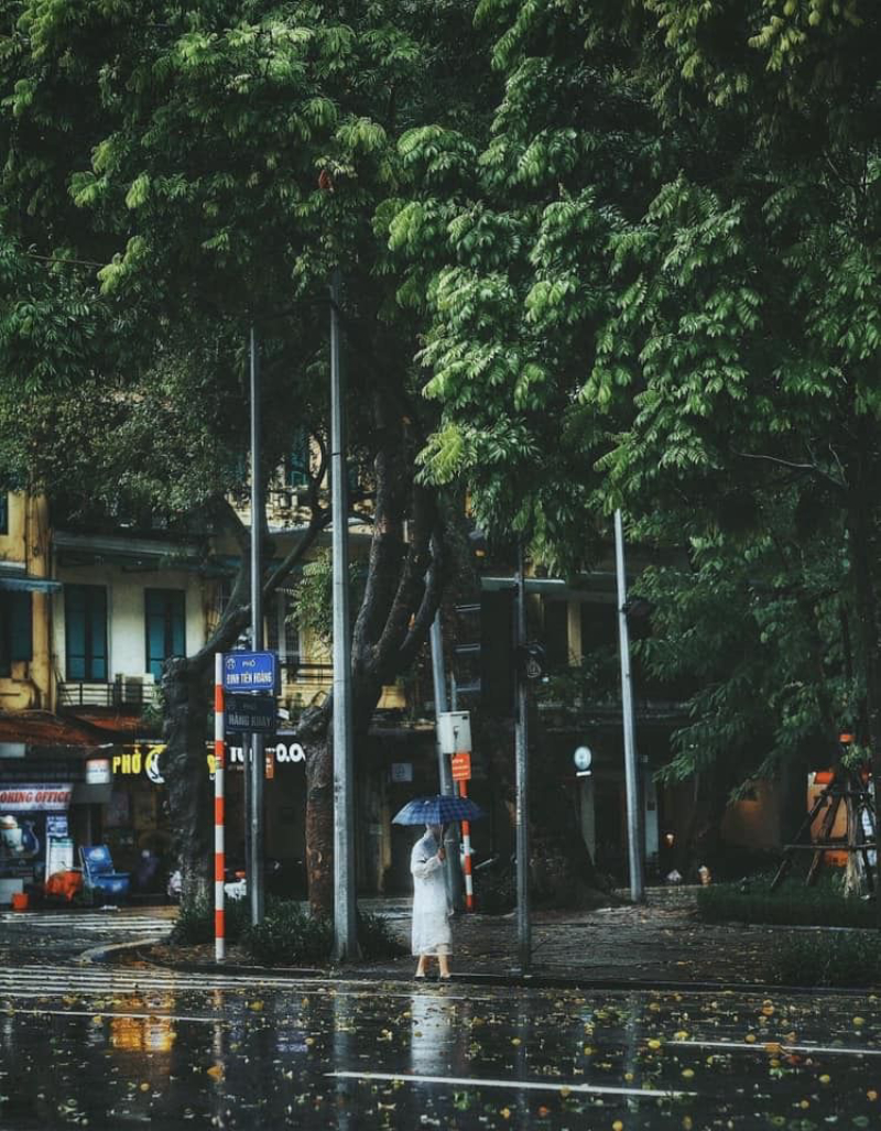 ảnh mưa buồn 15