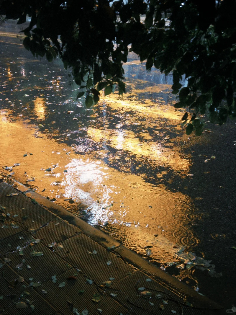 ảnh mưa buồn 17