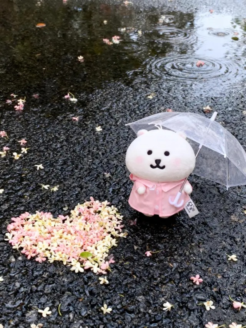 ảnh mưa buồn 18