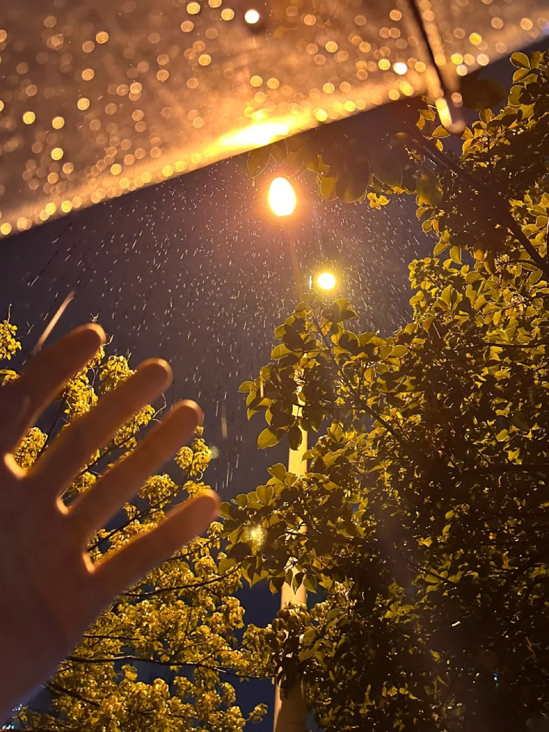 ảnh mưa buồn 34