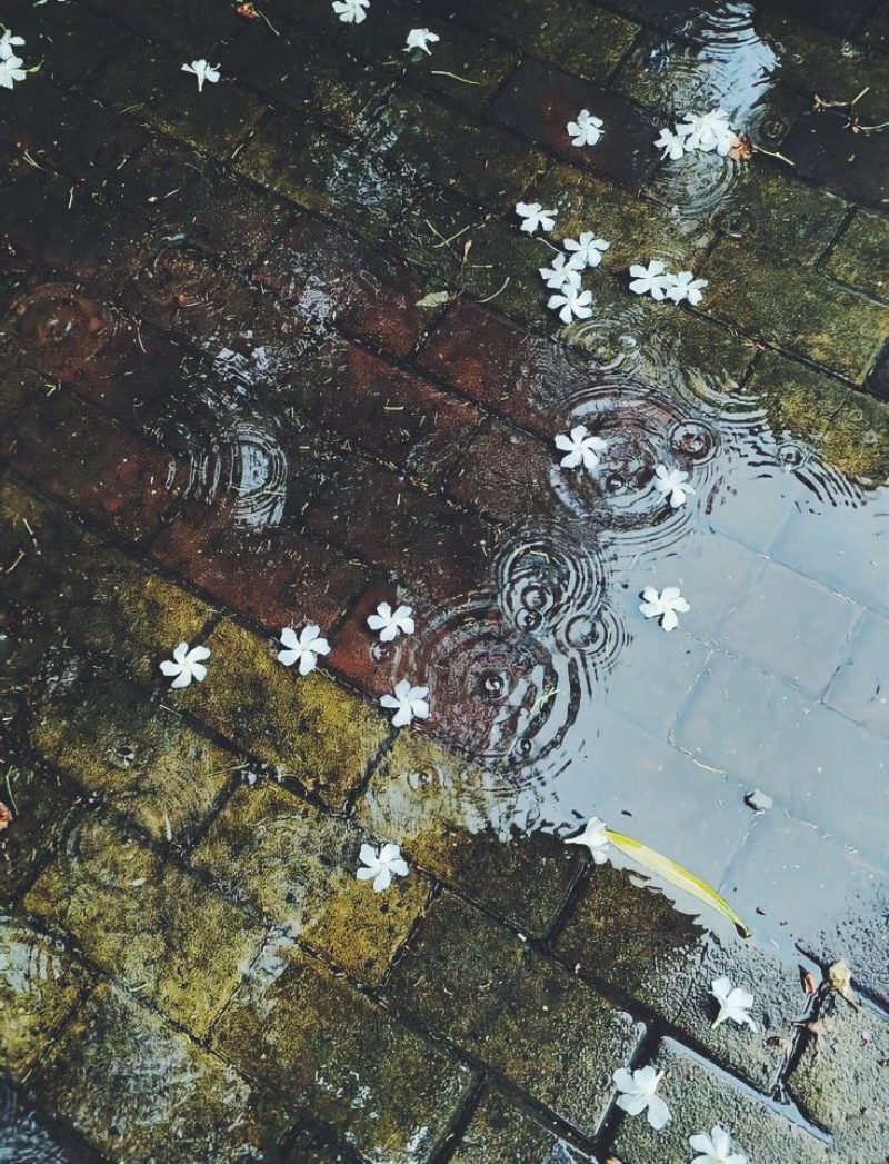 Processed with VSCO with f2 preset