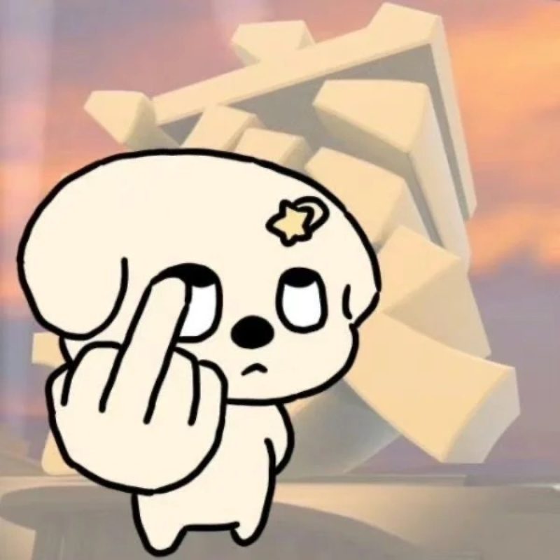 ảnh ngón giữa 14