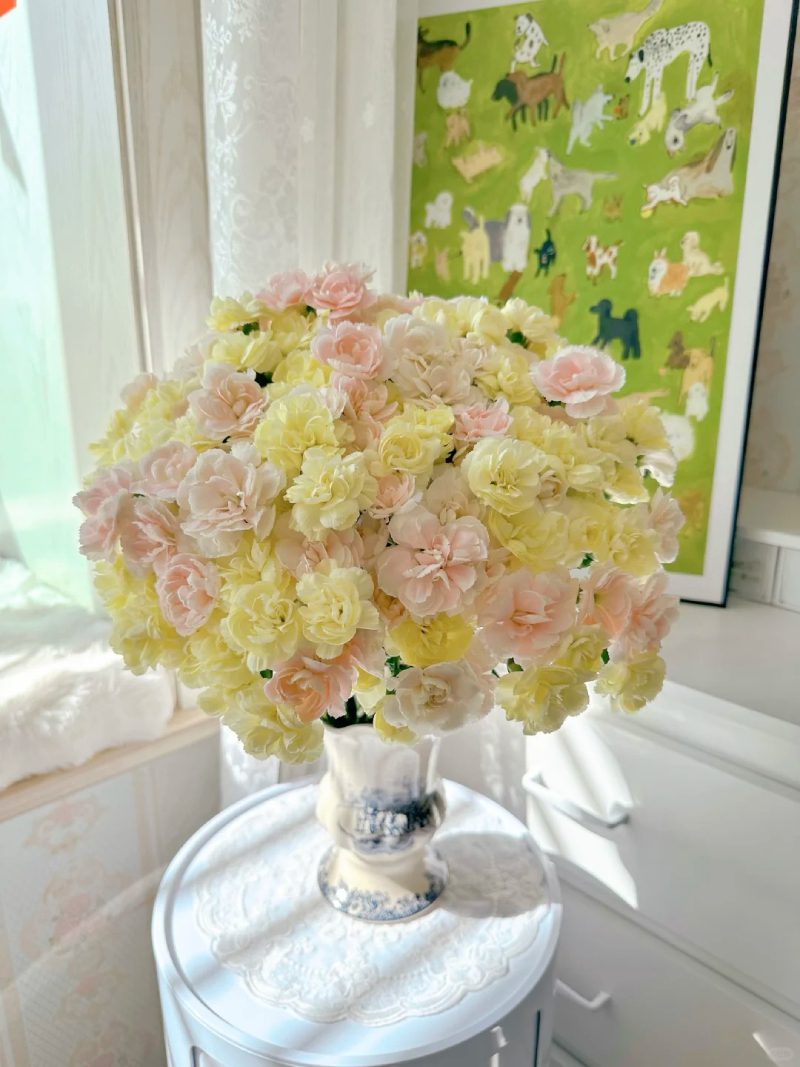 bộ sưu tập ảnh hoa đẹp 14