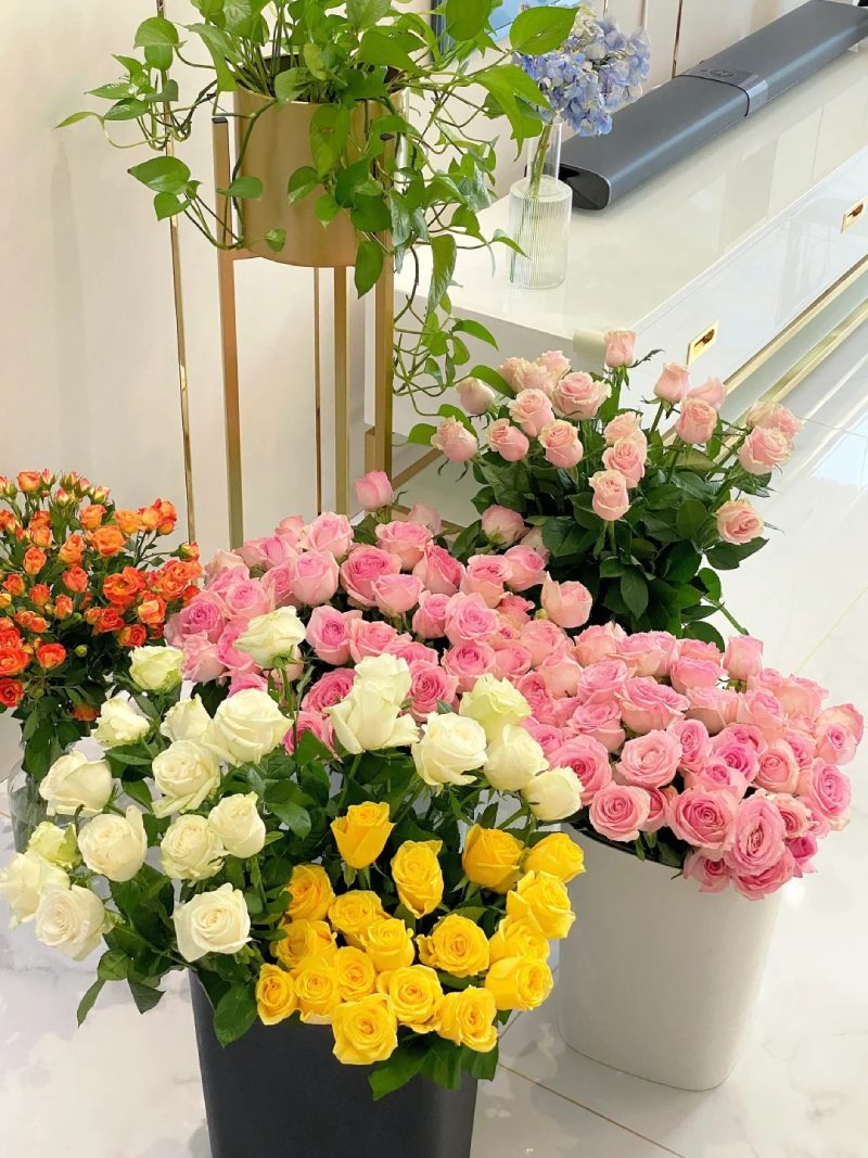 bộ sưu tập ảnh hoa đẹp 18