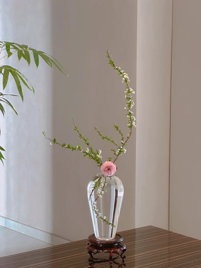 bộ sưu tập ảnh hoa đẹp 30
