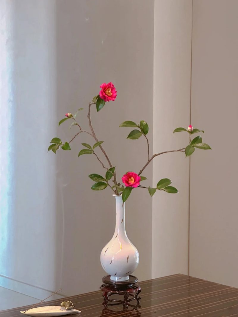 bộ sưu tập ảnh hoa đẹp 36