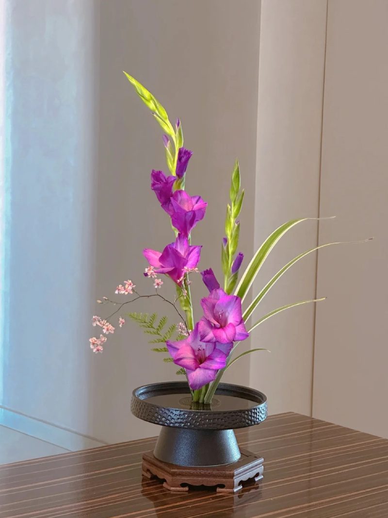 bộ sưu tập ảnh hoa đẹp 37