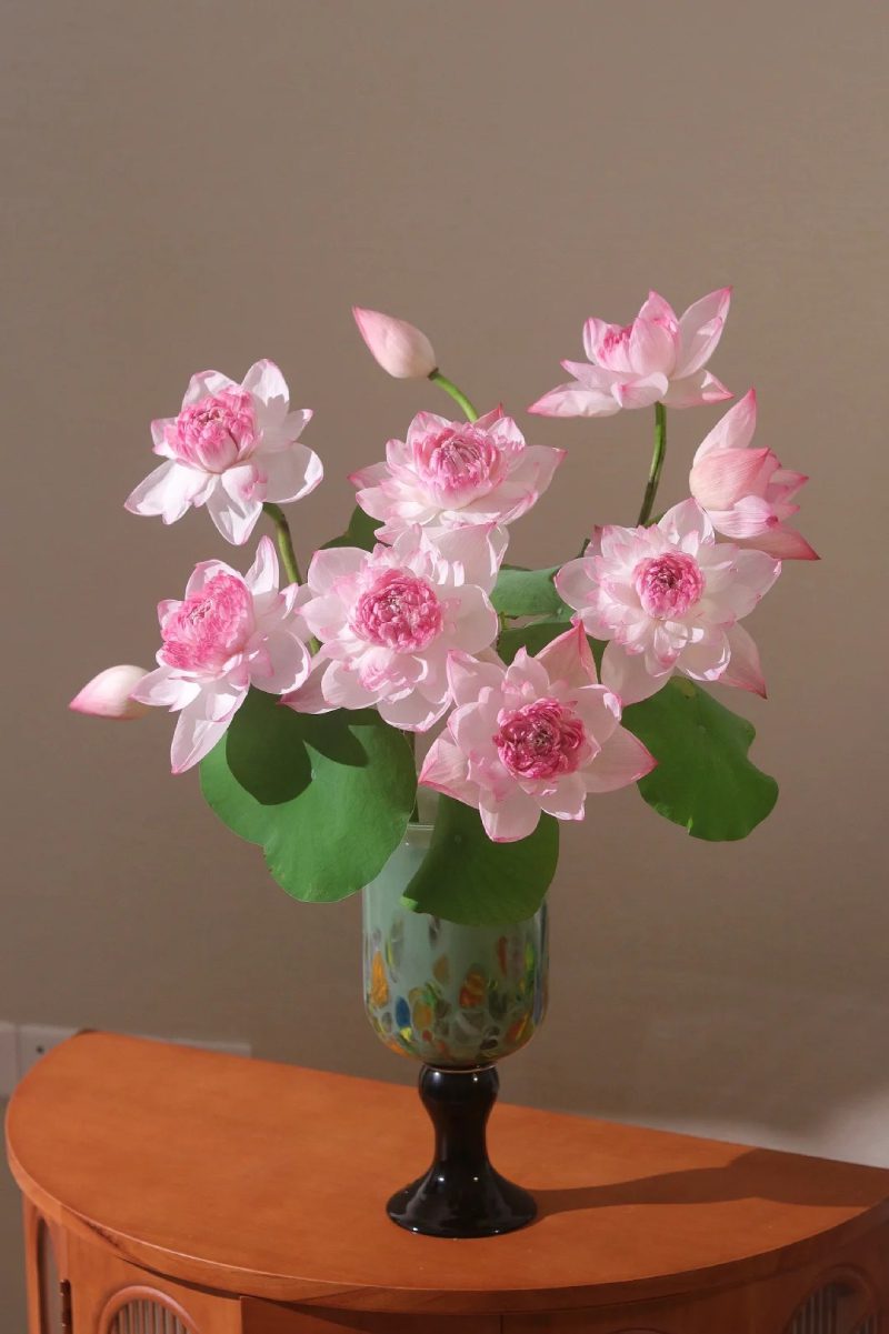 bộ sưu tập ảnh hoa đẹp 4
