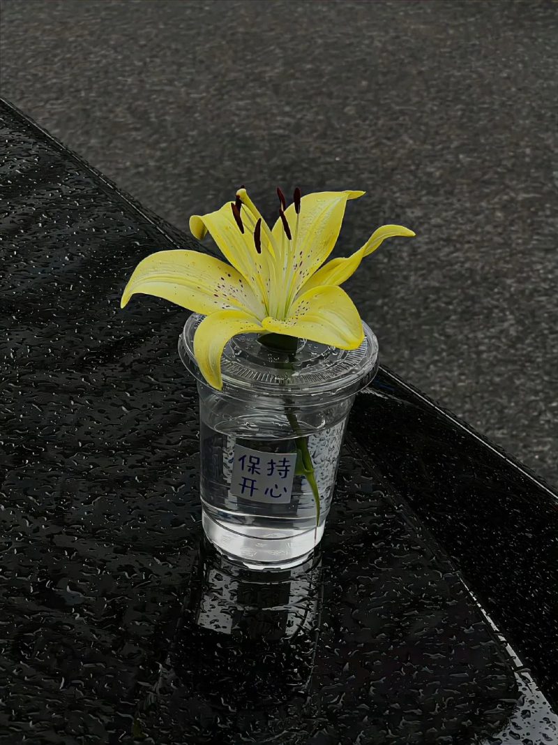 hình ảnh buồn đẹp 10