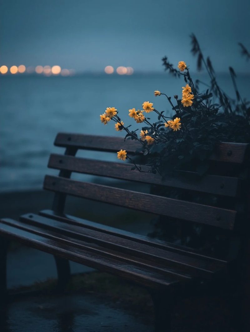 hình ảnh buồn đẹp 31