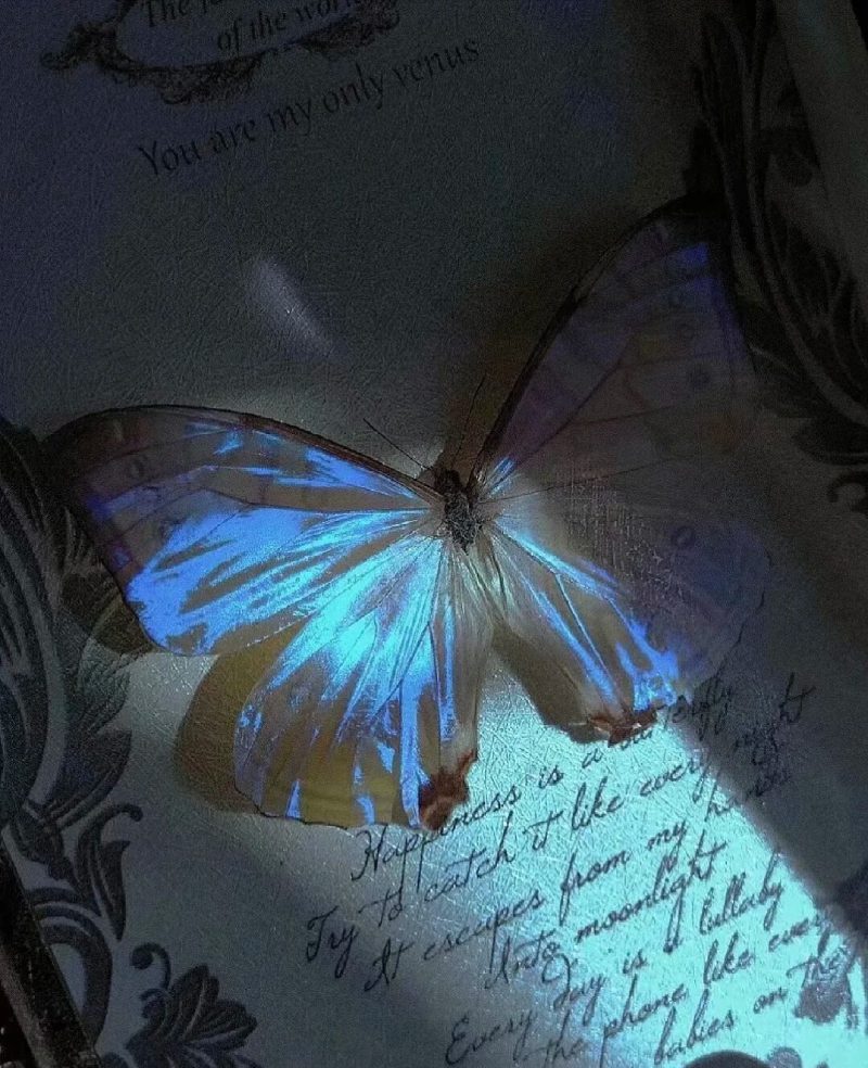 hình ảnh buồn đẹp 34