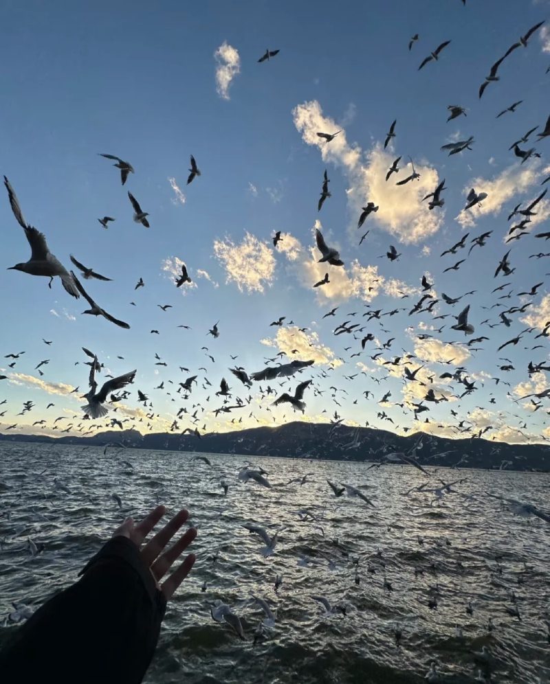 hình ảnh buồn đẹp 35