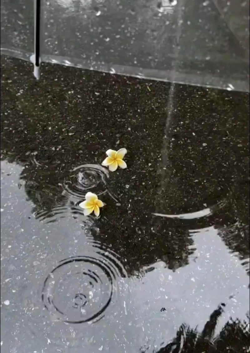 hình ảnh buồn đẹp 36