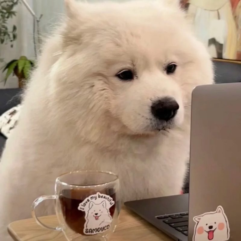 ảnh đại diện buồn 31