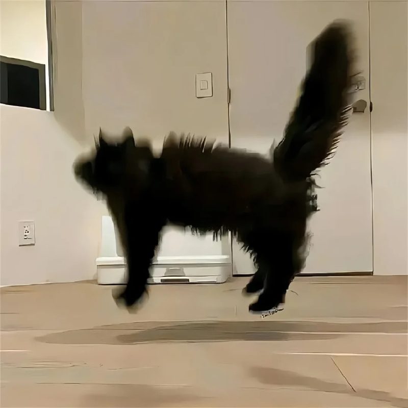 ảnh đại diện cute 6