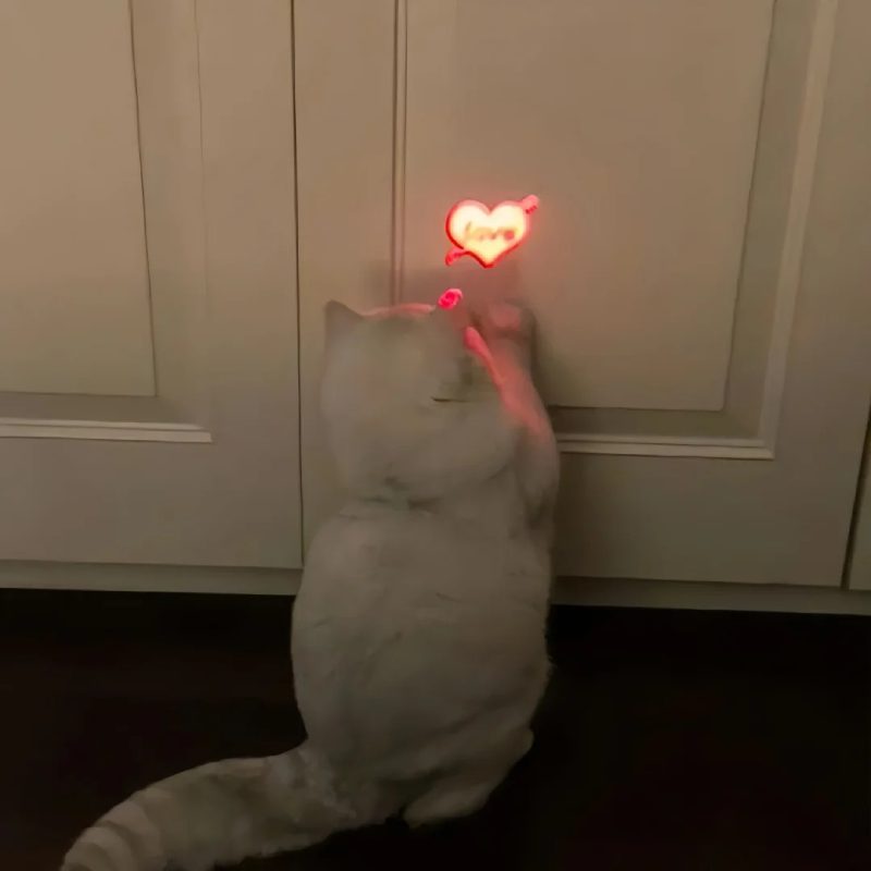 ảnh đại diện cute 7