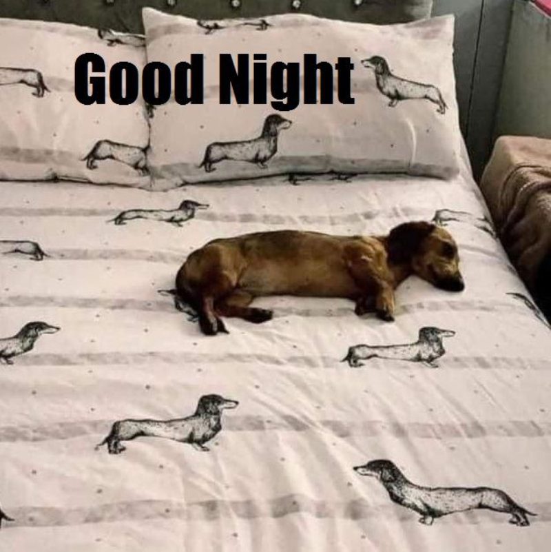 hình ảnh chúc ngủ ngon 10