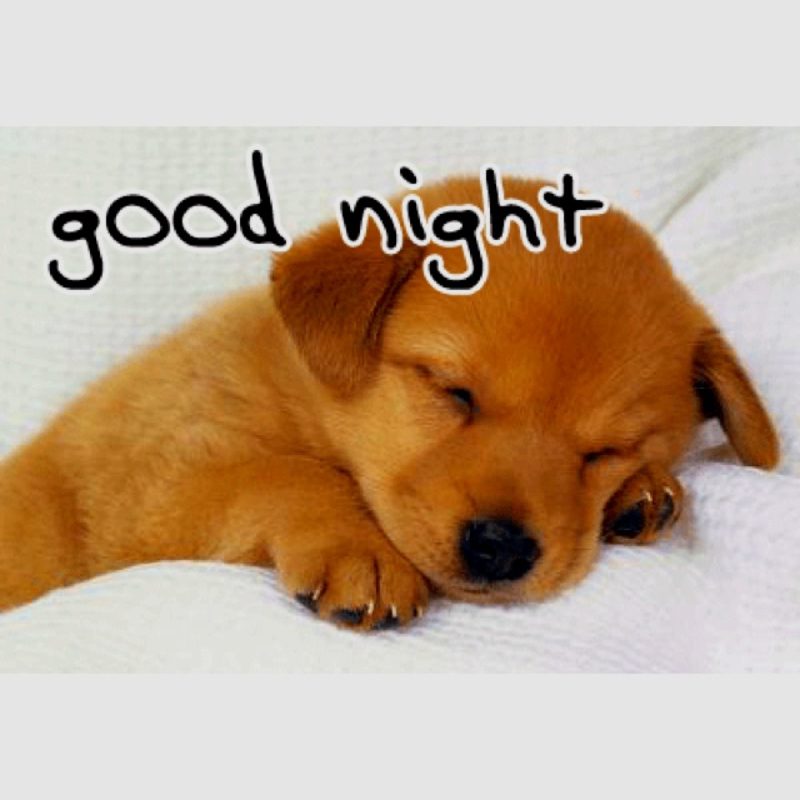 hình ảnh chúc ngủ ngon 11