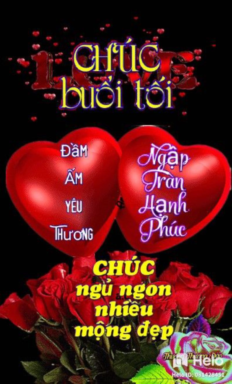 hình ảnh chúc ngủ ngon 12