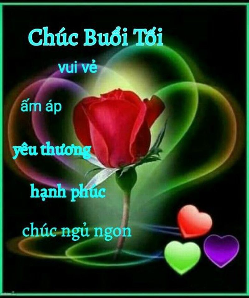 hình ảnh chúc ngủ ngon 13