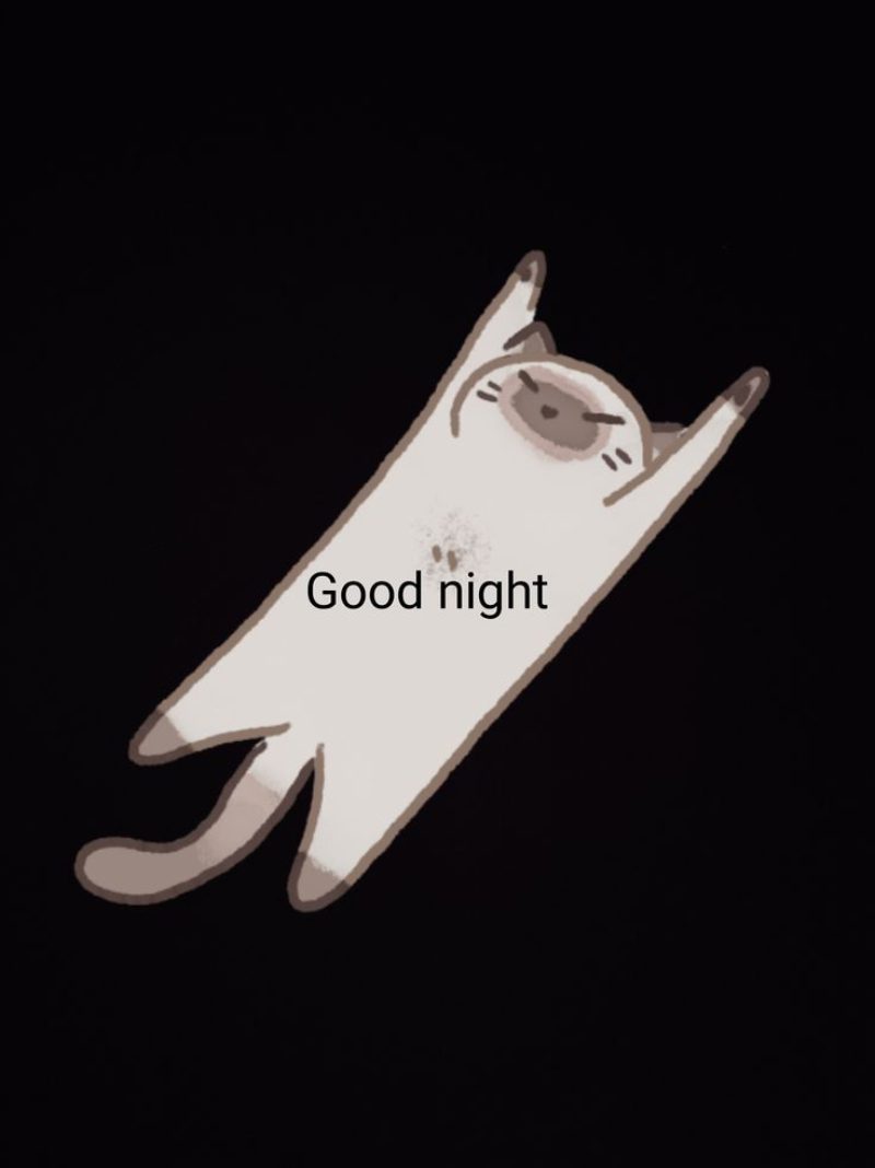 hình ảnh chúc ngủ ngon 2